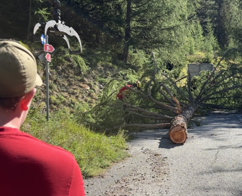 40 Jahrfeier Forstrevier Simplon Süd 22. August 2026 (27)