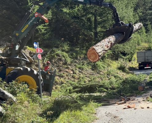 40 Jahrfeier Forstrevier Simplon Süd 22. August 2026 (29)